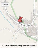 Agenti e Rappresentanti di Commercio Carpino,71010Foggia