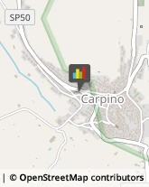 Agenti e Rappresentanti di Commercio Carpino,71010Foggia