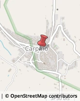 Assicurazioni Carpino,71010Foggia