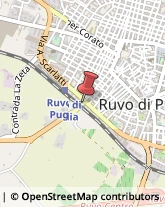 Comunità e Comprensori Montani Ruvo di Puglia,70037Bari