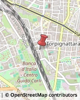 Traduttori ed Interpreti Roma,00176Roma