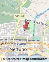 Alimenti Surgelati - Dettaglio Nettuno,00048Roma