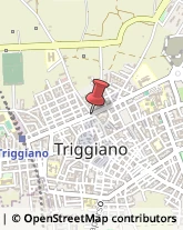 Ottica, Occhiali e Lenti a Contatto - Dettaglio Triggiano,70019Bari