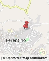 Istituti di Bellezza,03013Frosinone