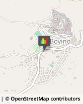 Associazioni Sindacali Bovino,71023Foggia