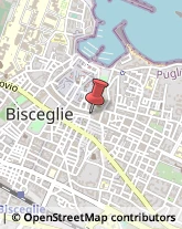 Traduttori ed Interpreti Bisceglie,76011Barletta-Andria-Trani