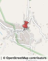 Pasticcerie - Dettaglio Carpino,71010Foggia