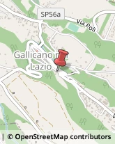 Aste Pubbliche Gallicano nel Lazio,00040Roma