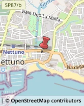 Studi - Geologia, Geotecnica e Topografia Nettuno,00048Roma