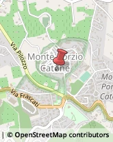 Consulenza Commerciale Monte Porzio Catone,00040Roma