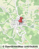 Piante e Fiori - Dettaglio Cantalupo nel Sannio,86092Isernia