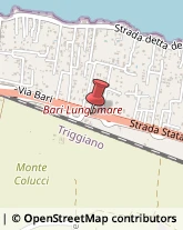 Consolati Bari,70126Bari