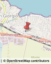 Consulenza di Direzione ed Organizzazione Aziendale,70126Bari