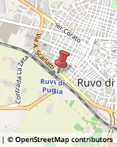 Cartolerie Ruvo di Puglia,70037Bari