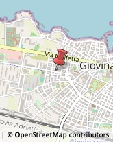 Agenti e Mediatori d'Affari Giovinazzo,70054Bari