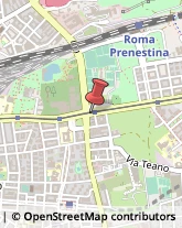 Via Prenestina, 246,00177Roma