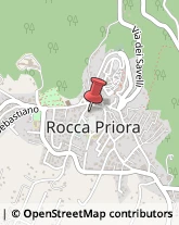 Fotografia Materiali e Apparecchi - Produzione e Ingrosso Rocca Priora,00079Roma