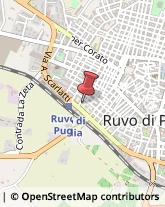 Traduttori ed Interpreti Ruvo di Puglia,70037Bari