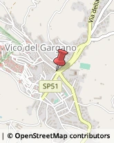 Aziende Sanitarie Locali (ASL) Vico del Gargano,71018Foggia