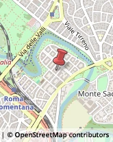 Consulenza Informatica Roma,00141Roma