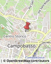 Trasporto Pubblico,86100Campobasso