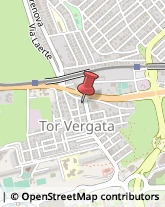Via di Tor Vergata, 10,00133Roma