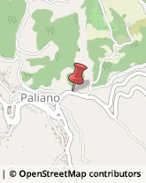 Agenzie Immobiliari Paliano,03018Frosinone