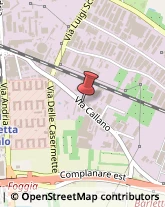 Calzaturifici e Calzolai - Forniture Barletta,70051Barletta-Andria-Trani
