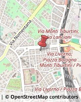 Traduttori ed Interpreti Roma,00162Roma