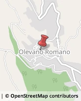 Agenti e Rappresentanti di Commercio Olevano Romano,00035Roma