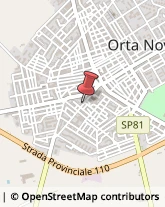 Articoli per Ortopedia Orta Nova,71045Foggia