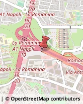 Gelati - Produzione e Commercio Roma,00173Roma