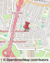 Giornali, Riviste e Libri - Distribuzione Roma,00133Roma