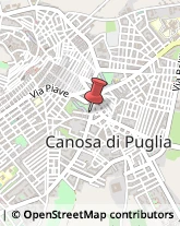 Pelletterie - Dettaglio Canosa di Puglia,76012Barletta-Andria-Trani