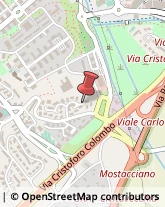 Elaborazione Dati - Servizio Conto Terzi Roma,00144Roma