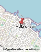 Abbigliamento Bambini e Ragazzi Mola di Bari,70042Bari