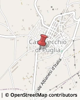 Cooperative Produzione, Lavoro e Servizi Casalvecchio di Puglia,71030Foggia