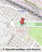 Assicurazioni,71121Foggia