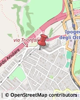 Ottica, Occhiali e Lenti a Contatto - Dettaglio,00135Roma