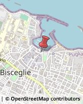 Musei e Pinacoteche Bisceglie,76011Barletta-Andria-Trani