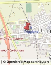 Parrucchieri Triggiano,70019Bari