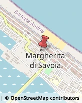 Ortopedia e Traumatologia - Medici Specialisti Margherita di Savoia,71044Barletta-Andria-Trani