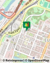 Tour Operator e Agenzia di Viaggi,00144Roma