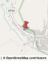 Imprese Edili Carpino,71010Foggia