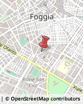 Strumenti Musicali ed Accessori - Dettaglio Foggia,71121Foggia