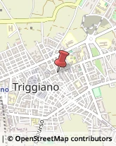 Fotocopie Triggiano,70019Bari