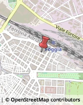 Spedizionieri Doganali Foggia,71121Foggia