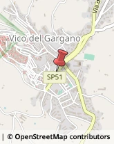 Oli Alimentari e Frantoi Vico del Gargano,71018Foggia