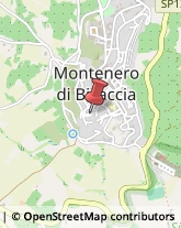 Avvocati Montenero di Bisaccia,86036Campobasso