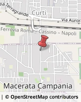 ,81055Caserta